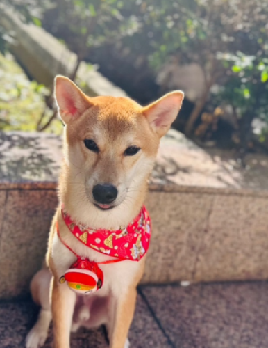 螢幕擷取畫面 2025-08-20 152508 螢幕擷取畫面 2025-08-20 152508